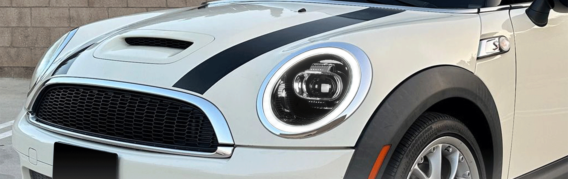 For R50-R53 – Archaic